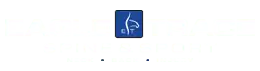 Chiropractic Burnsville MN Eagle Trace Spine & Sport